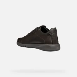 AERANTIS HOMME