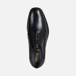 BRANDOLF HOMME