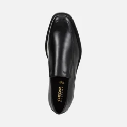 BRANDOLF HOMME