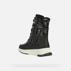 FALENA ABX FEMME
