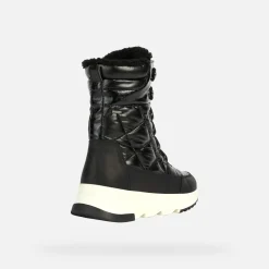 FALENA ABX FEMME