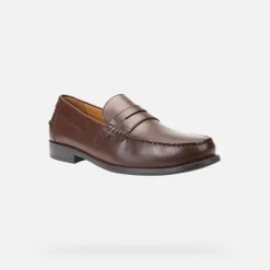 NEW DAMON HOMME