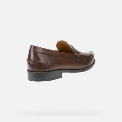 NEW DAMON HOMME
