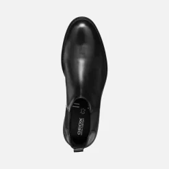 WALK PLEASURE HOMME